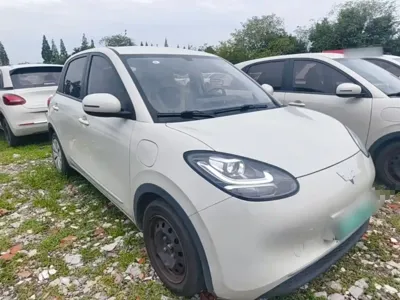 Wuling Bingo