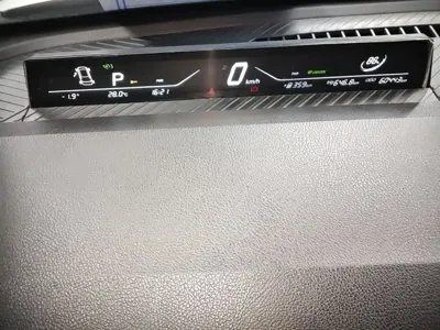 NETA Neta V