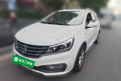 Baojun 310W