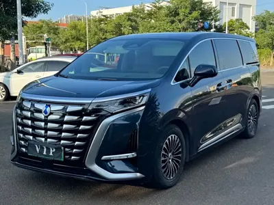 Denza Denza D9