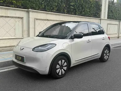 Wuling Bingo
