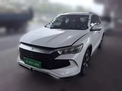 BYD Pro New Energy
