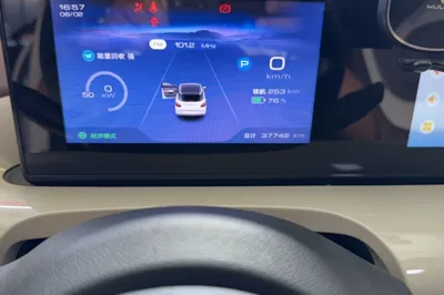 Wuling Bingo