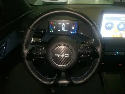 BYD Seagull