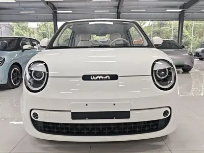 Qiyuan Lumin