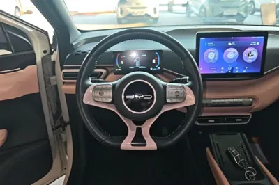 BYD Seagull