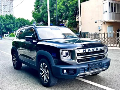Haval Big Dog