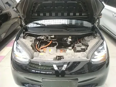 Wuling Bingo