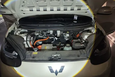 Wuling Bingo