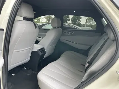 BYD 海狮06