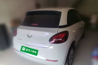 Wuling Bingo