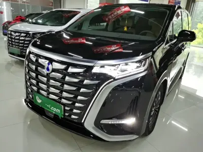 Denza Denza D9