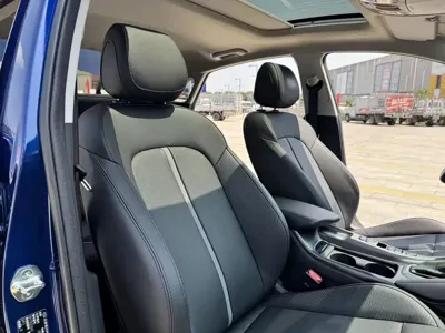 Hyundai Fista