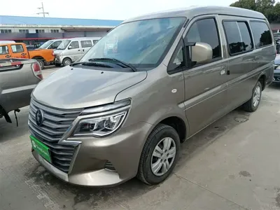 Fengxing Lingzhi