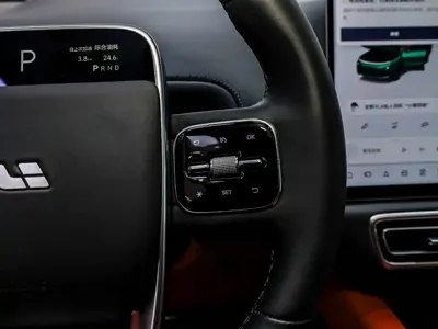 Li Auto Li L9