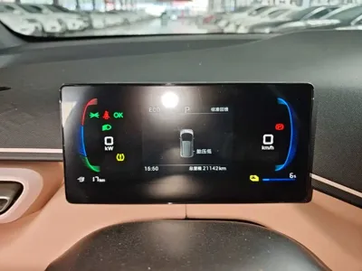 BYD Seagull