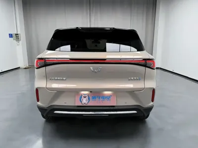 Wuling 缤果S