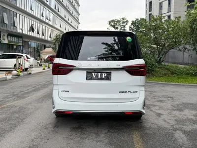 大通 G20