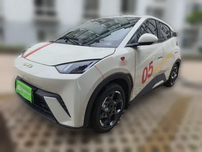 BYD Seagull