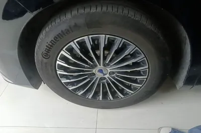 Denza D9