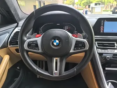 BMW M8