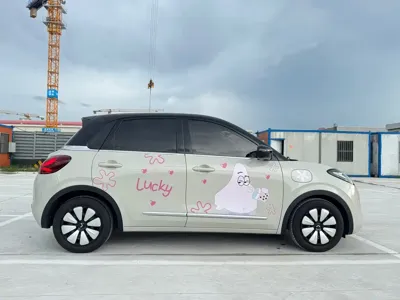 Wuling Bingo