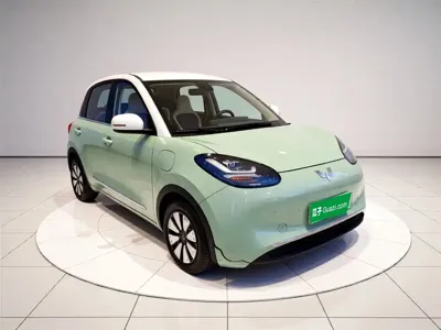 Wuling Bingo