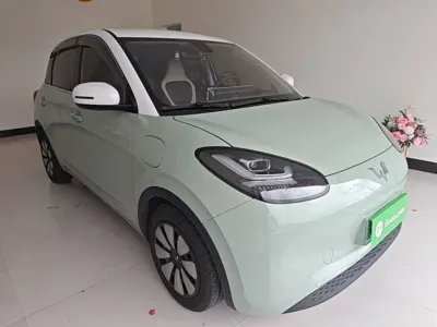 Wuling Bingo