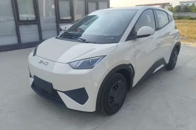 BYD Seagull