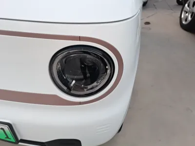 Geely Galaxy Panda