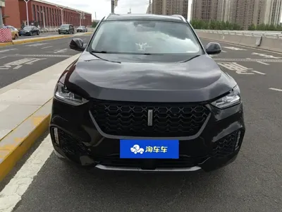 WEY Wey VV6