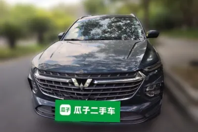 Wuling Victory
