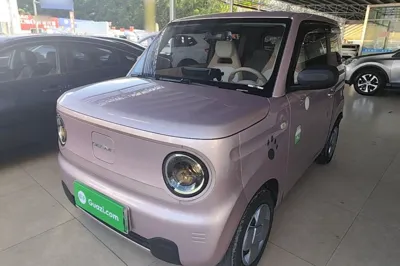 Geely Galaxy Panda