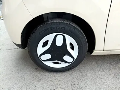 Galaxy Panda
