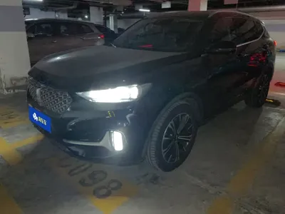 WEY Wey VV6