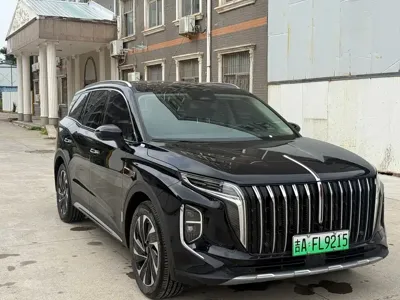Hongqi Hongqi HS7