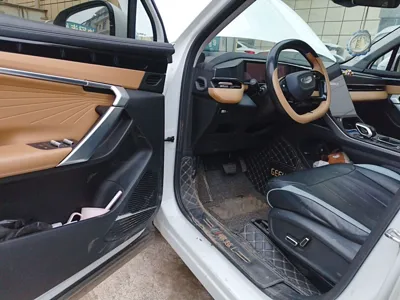 Geely Auto FX11