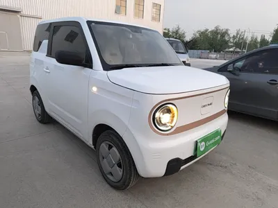 Geely Galaxy Panda