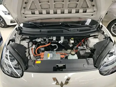 Wuling Bingo