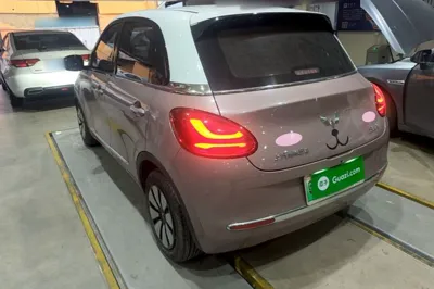 Wuling Bingo