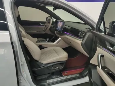 BYD Tang New Energy