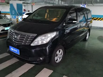 Fengxing Lingzhi PLUS