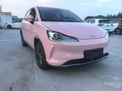 NETA Neta V