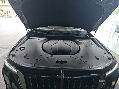 Hongqi Hongqi H9