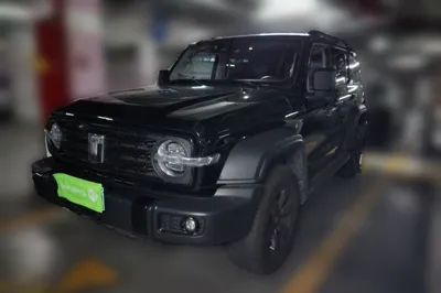 Tank 300