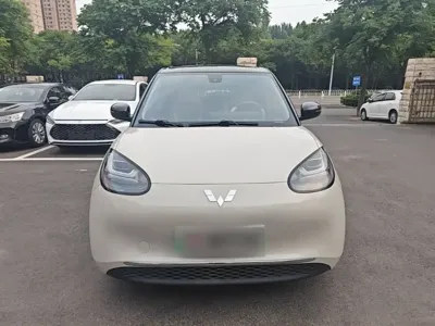 Wuling Bingo