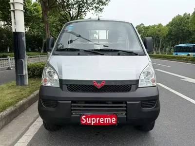 Wuling Rongguang Mini Truck