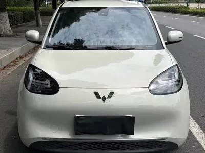 Wuling Bingo