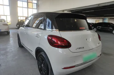 Wuling Bingo