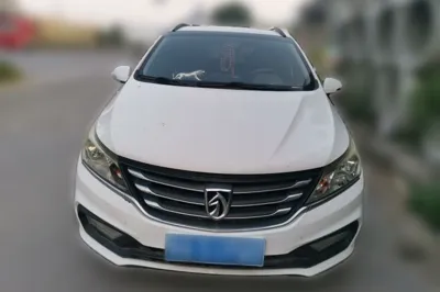 Baojun 310